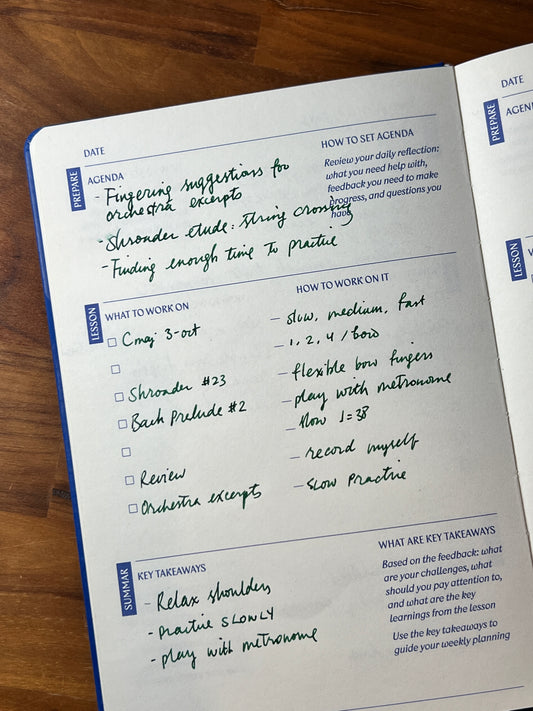 An example of what the lesson notes look like in the Muse and Mate practice journal for musicians.